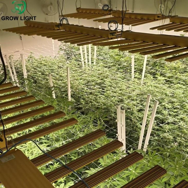 2024 Cost-Effective LED Grow Lights