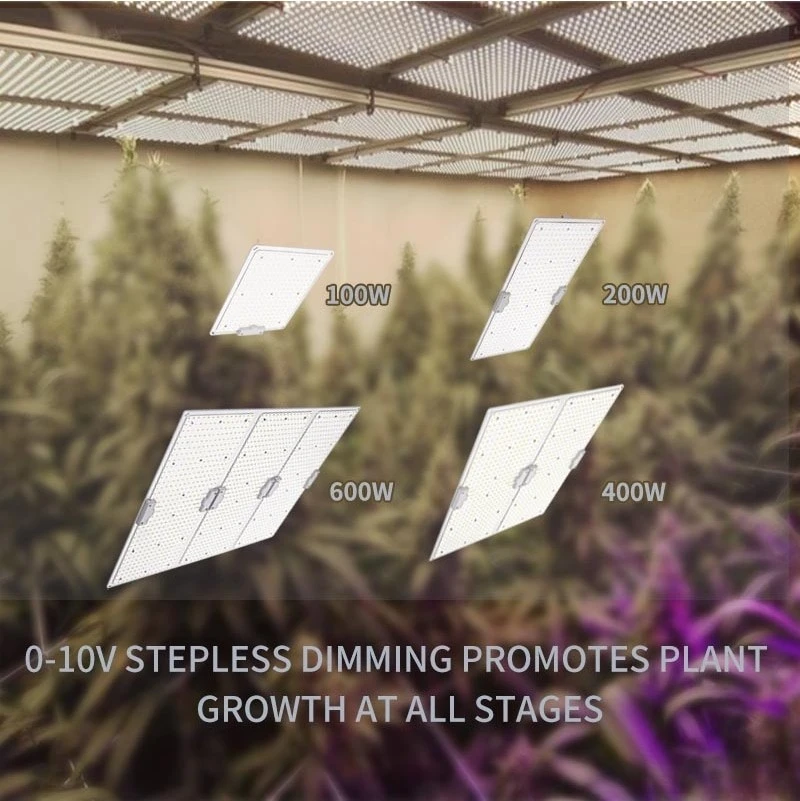 Quantum grow light