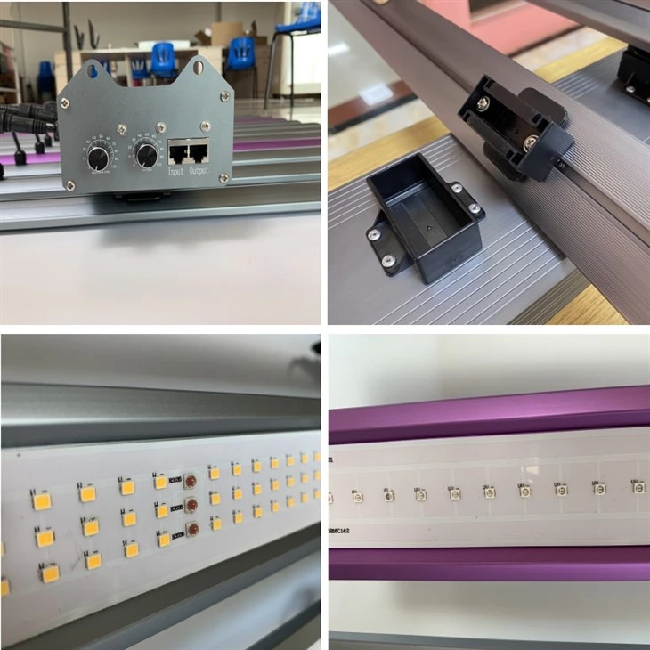 UV grow light