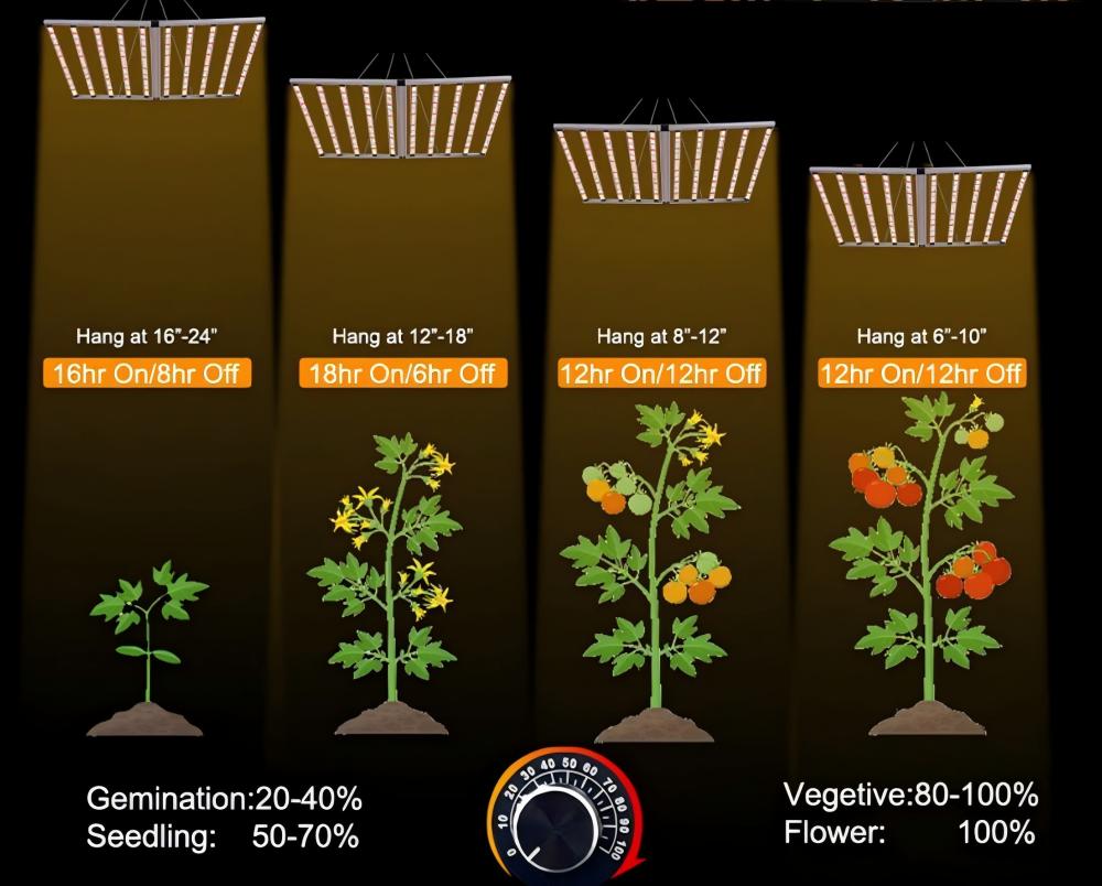 Best planting method.jpg